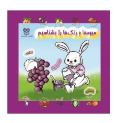 کتاب میوه ها و رنگ ها را بشناسیم
